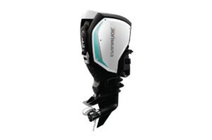 2019 Evinrude 175HP Outboard Engin