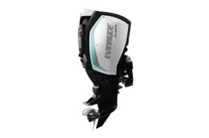 Evinrude 200HP Outboard For Sale