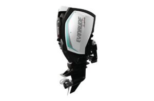 2019 Evinrude 250HP Engine For Sal