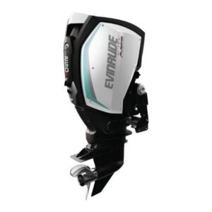 Buy 2019 Evinrude 250HP Outboards | H250XH | 25 in. Shaft