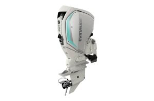 Buy 200HP Evinrude Outboard Online