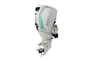 Buy 225HP Evinrude Outboard Engine